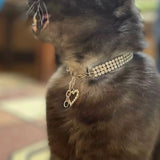 Heart Crystal Rhinestone Pet Bling Collar